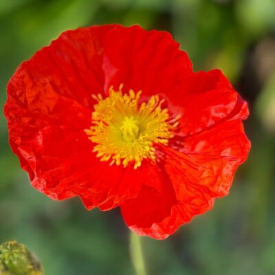 for home maintenance blog